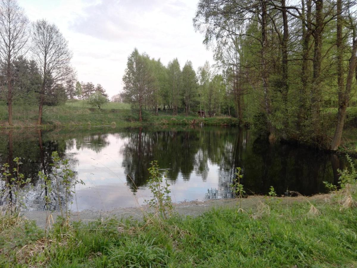 Villa Kaszubska Dolina Pięciu Stawów Wiele Exterior foto